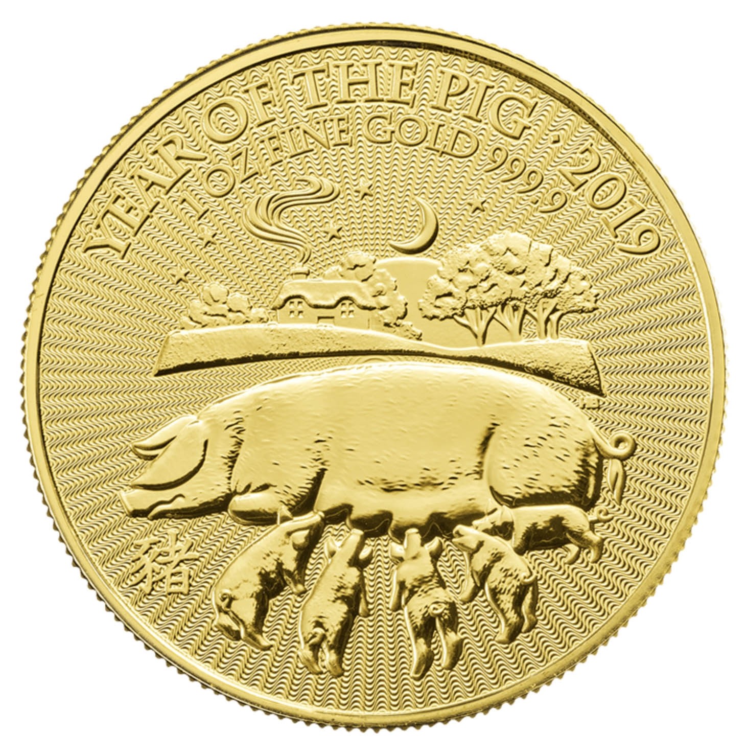 pig coin
